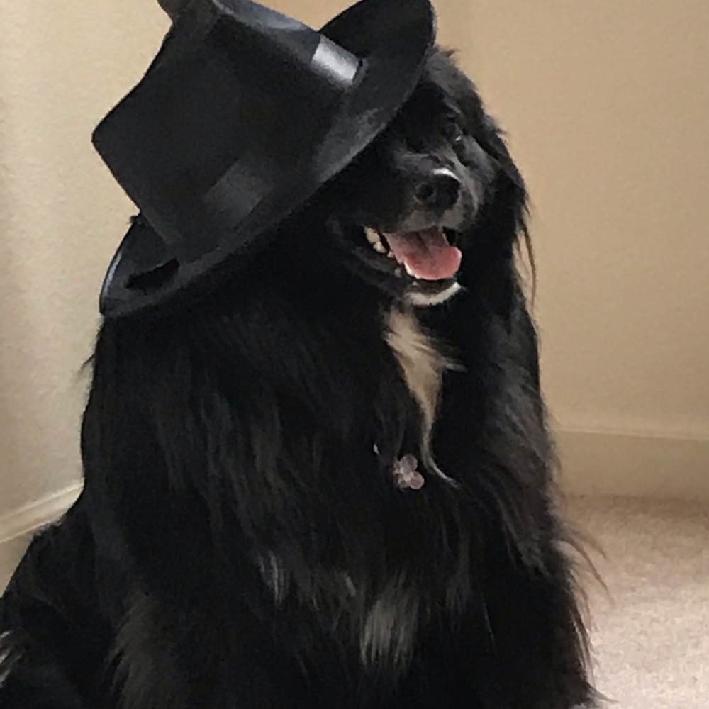 Meet your Posher, Kristin